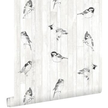 carta da parati disegno a penna retrò vintage di uccelli su tavole di legno recuperato nero e bianco opaco