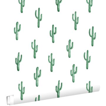 carta da parati piccolo cactus del deserto verde smeraldo intenso