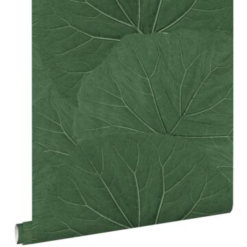 carta da parati foglie grandi verde scuro