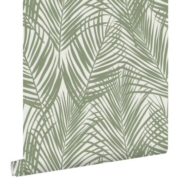 carta da parati foglie di palma verde oliva grigiastro