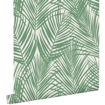 carta da parati foglie di palma verde giada