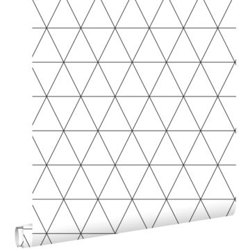 carta da parati triangoli grafici bianco e nero