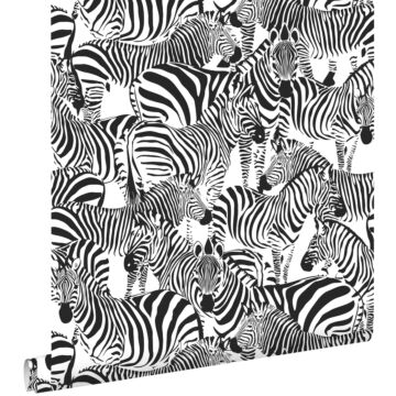 carta da parati zebra bianco e nero