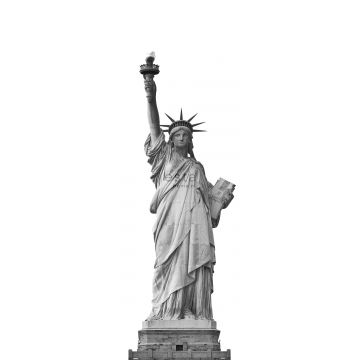 fotomurale statua della libertà grigio