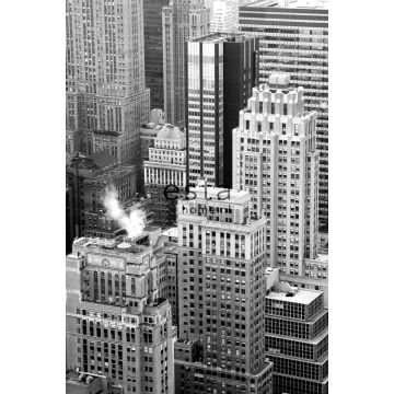 fotomurale grattacieli nero e bianco