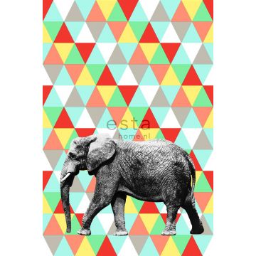 fotomurale elefante colorata