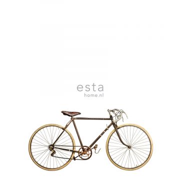 fotomurale vecchia bicicletta bianco, marrone e beige