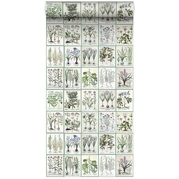 carta da parati XXL in TNT pagine di un libro botanico con fiori e piante grigio caldo chiaro e verde