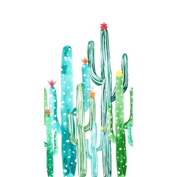 fotomurale cactus in fiore dipinto acquerello verde giungla tropicale e turchese