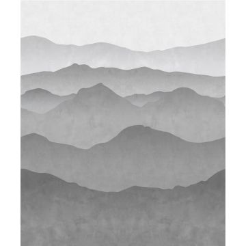 fotomurale montagne grigio