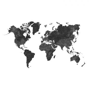 fotomurale mappa del mondo grigio antracite