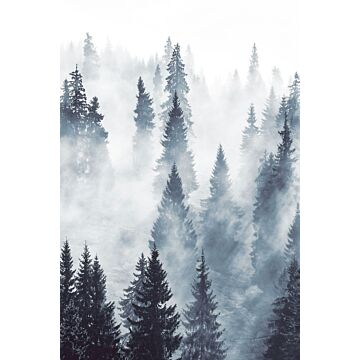 fotomurale foresta nebbiosa verde