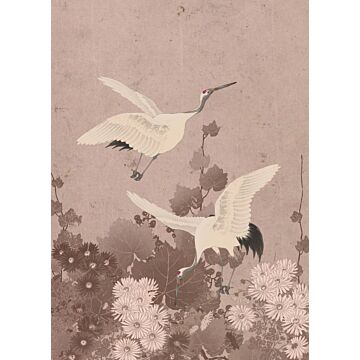 fotomurale uccelli gru rosa grigio