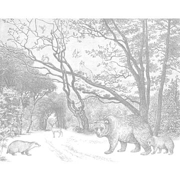 fotomurale foresta con animali della foresta grigio